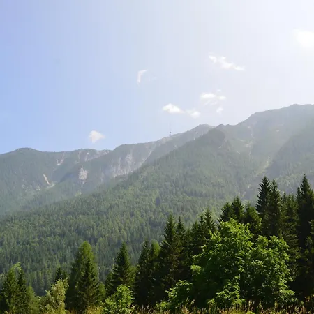 فندق مبيت وإفطار Haus Am Kolm *