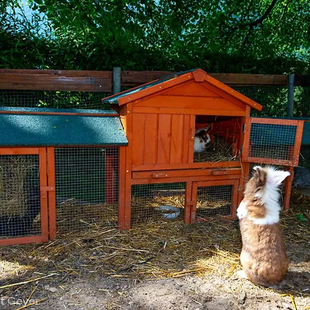 Haus Am Kolm فندق مبيت وإفطار