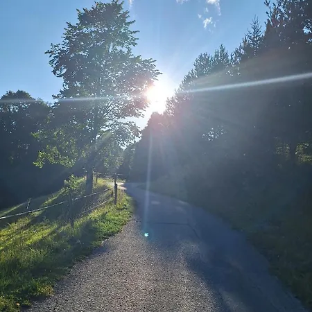 Bed & Breakfast Haus Am Kolm Bad Bleiberg