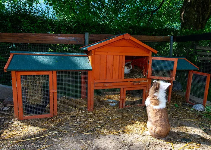 Haus Am Kolm Bed & Breakfast